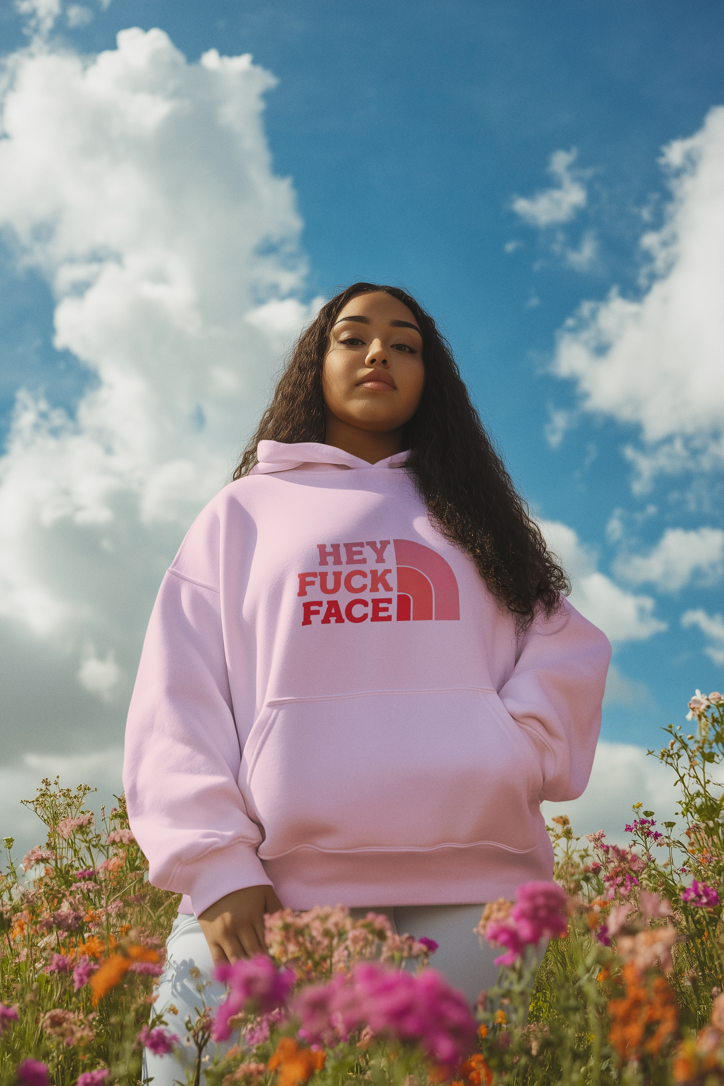 Hey Fuck Face Hoodie