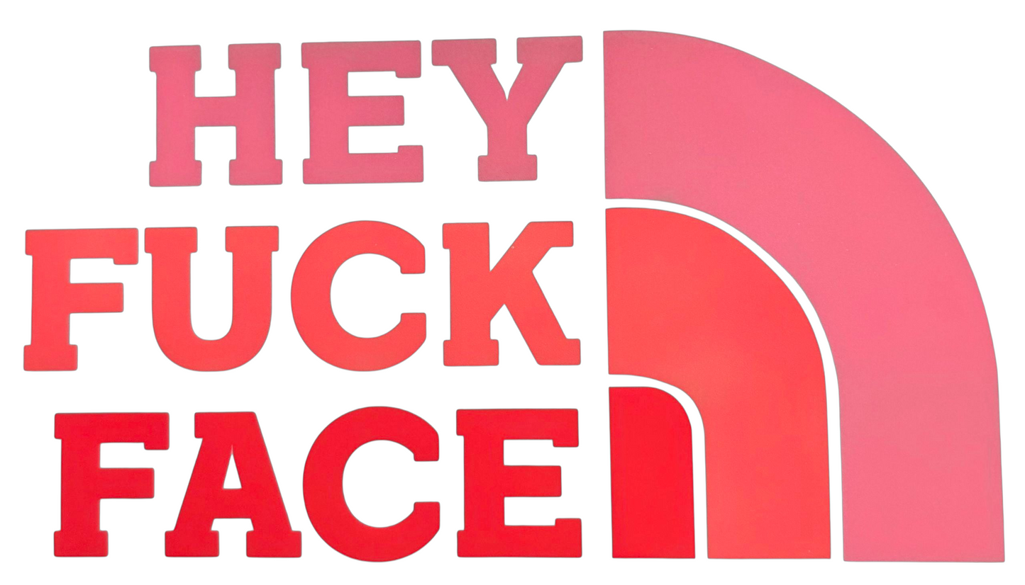 Hey Fuck Face T-Shirt