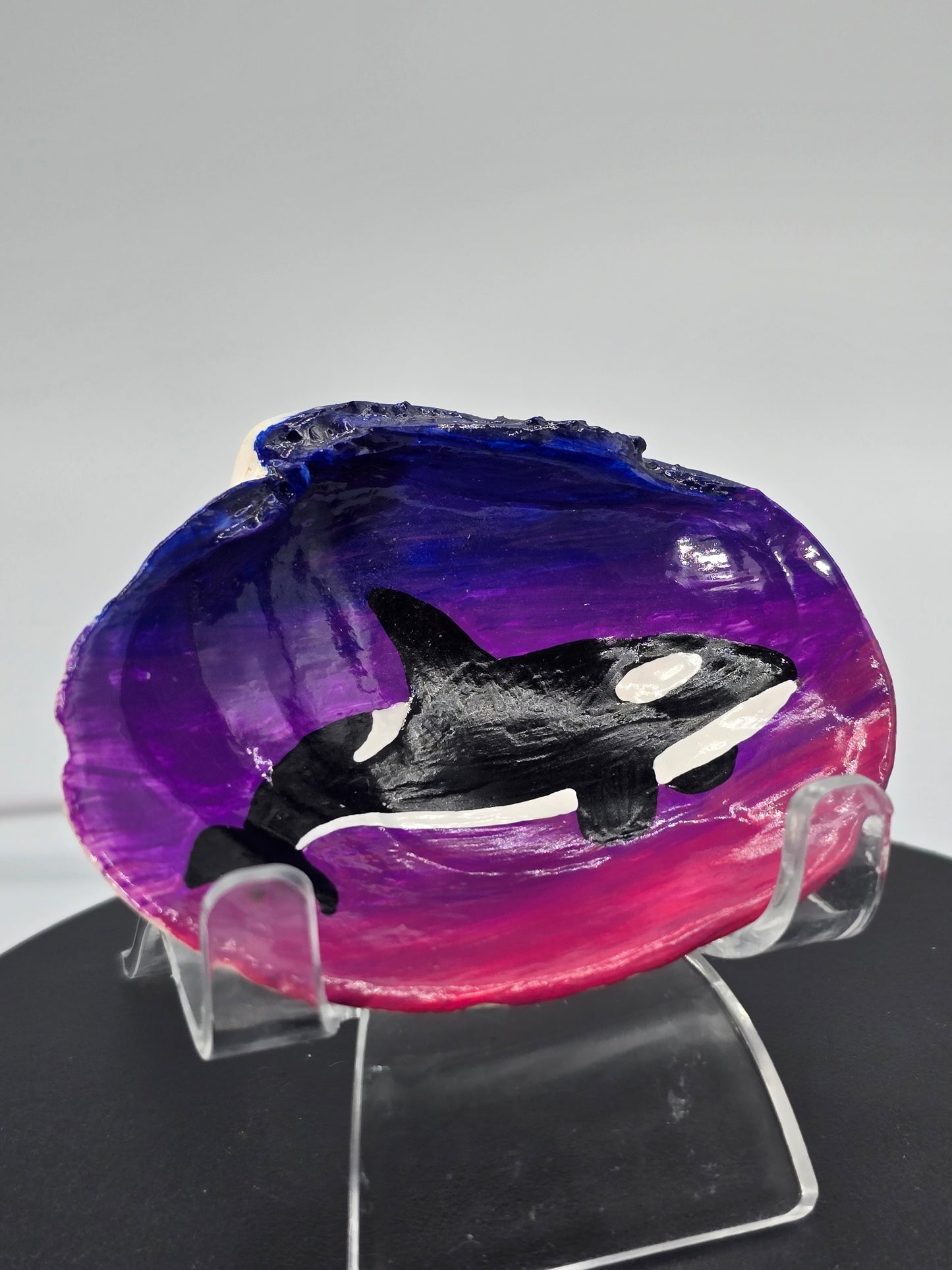 Celina Miller Art - Painted Seashell